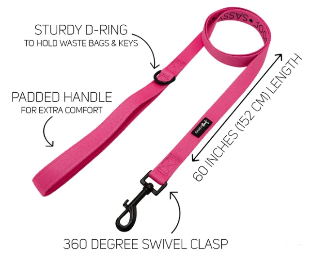 Neon Pink Leash