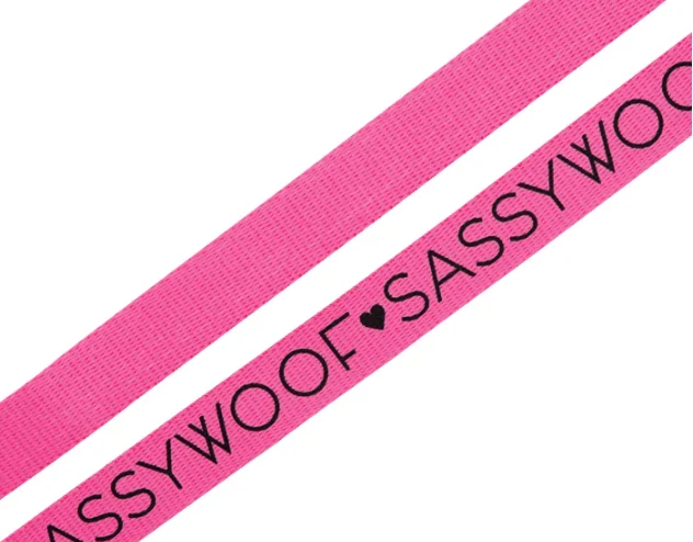 Neon Pink Leash