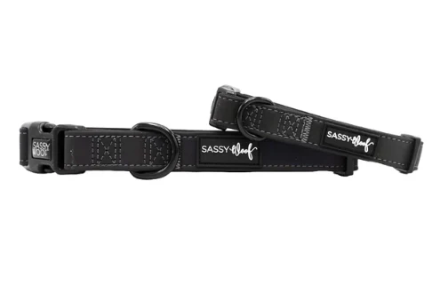 Reflective Collar