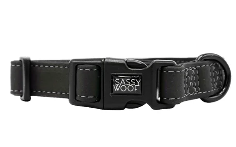Reflective Collar