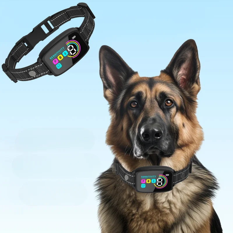 Hundetrainingshalsband mit Display, USB-C & 3 Trainingsmodi