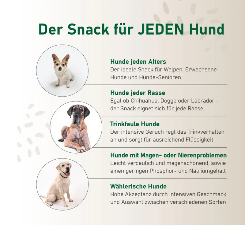 SmoothieDog Hundesmoothie Morosche Karottensuppe – Natürliche Verdauungshilfe