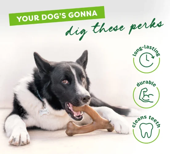Benebone Bacon Wishbone