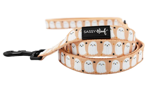 Squad Ghouls Leash