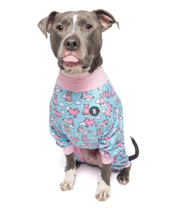 Gettin' Piggy With it Pajamas