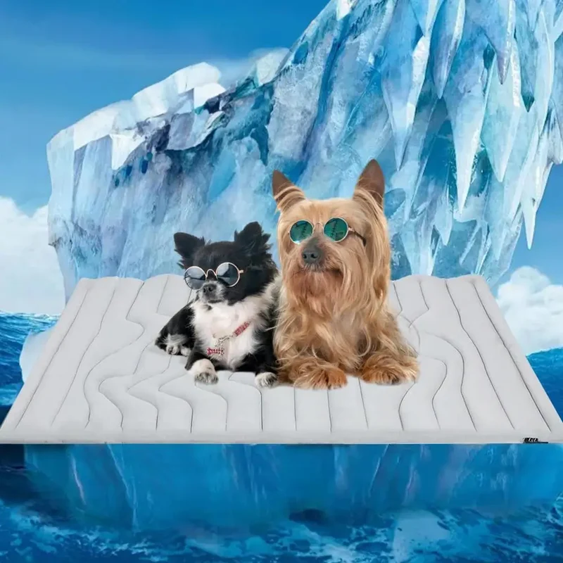 Kühlmatte für Hunde & Katzen mit Doppelfunktion