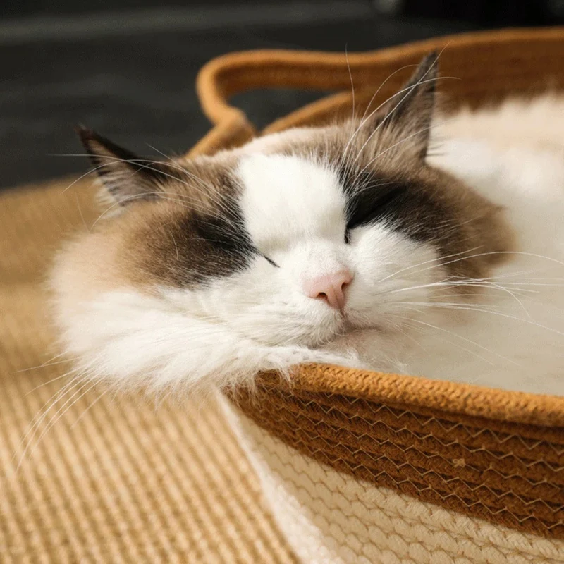Handgeflochtenes Katzenbett aus Baumwolle