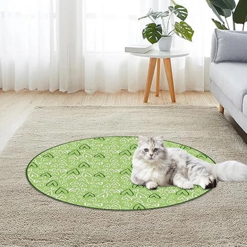 Interaktives Versteckspiel für Katzen