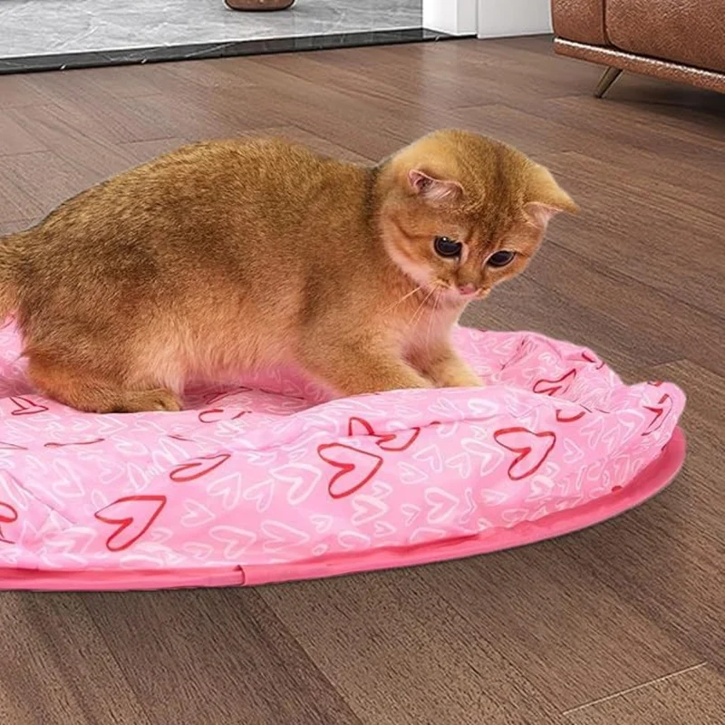 Interaktives Versteckspiel für Katzen