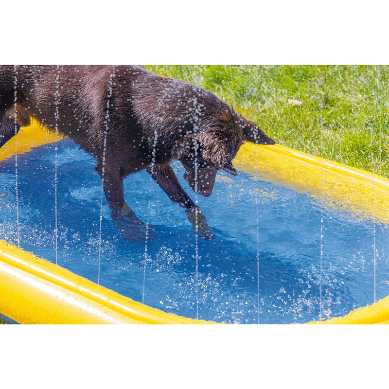 Beeztees Hundepool Palmy mit Sprinkler – Hundeplanschbecken 163x100x47 cm, gelb