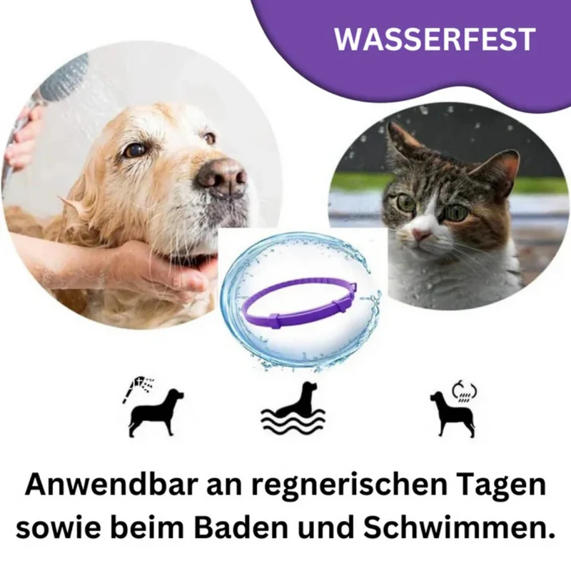 Pheromon-Beruhigungshalsband mit 60 Tagen Wirkung