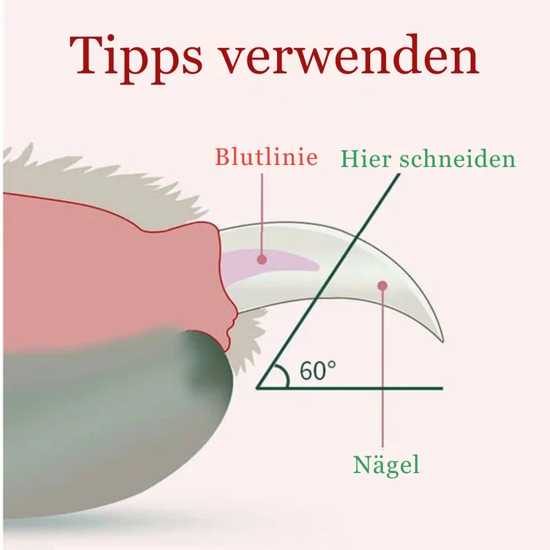 Profi-Tiernagelschneider mit Licht & Sicherheitsverschluss