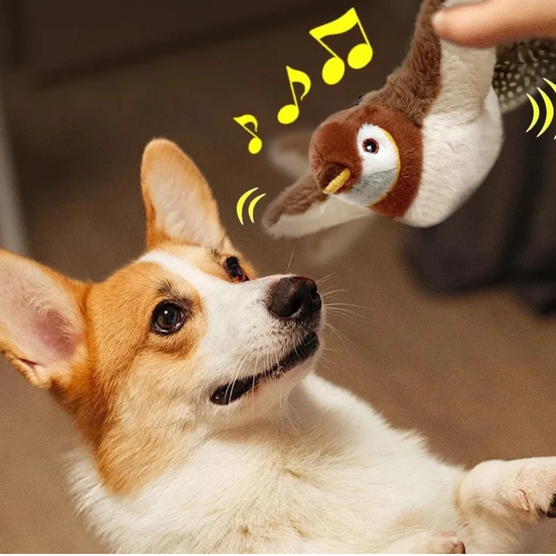 Flattervogel – für neugierige Hunde