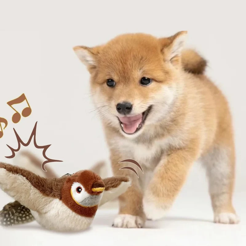 Flattervogel – für neugierige Hunde