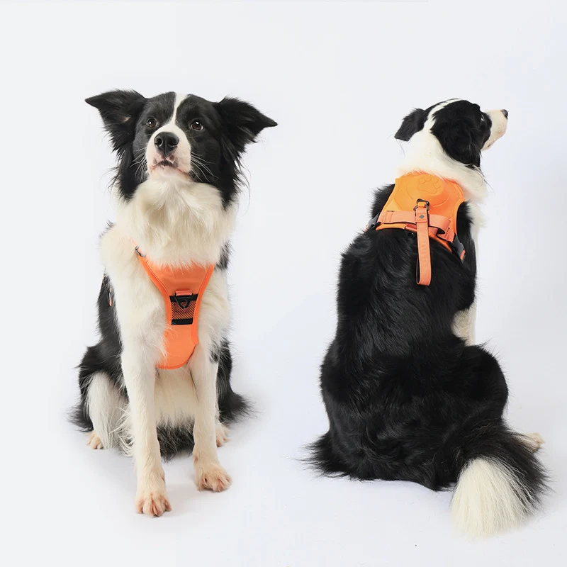 Anti-Zug Hundegeschirr mit Leine & Auto-Stopp-System