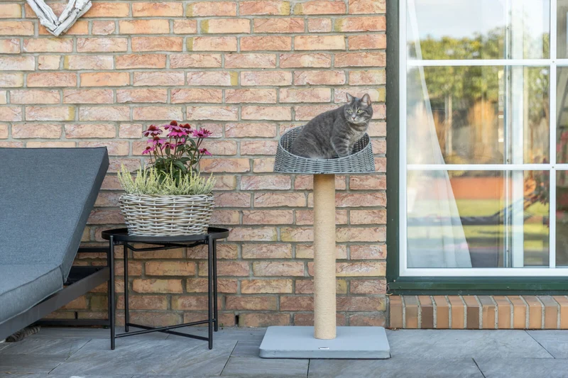Outdoor Kratzbaum Amalia aus Polyrattan