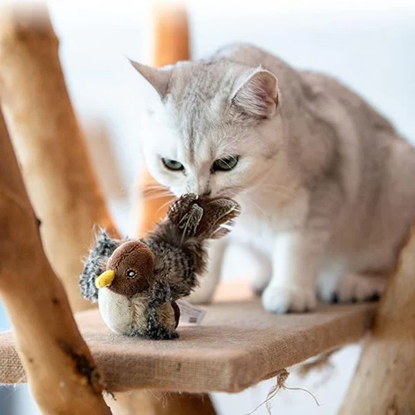 Zwitscherndes Vogelspielzeug für Katzen