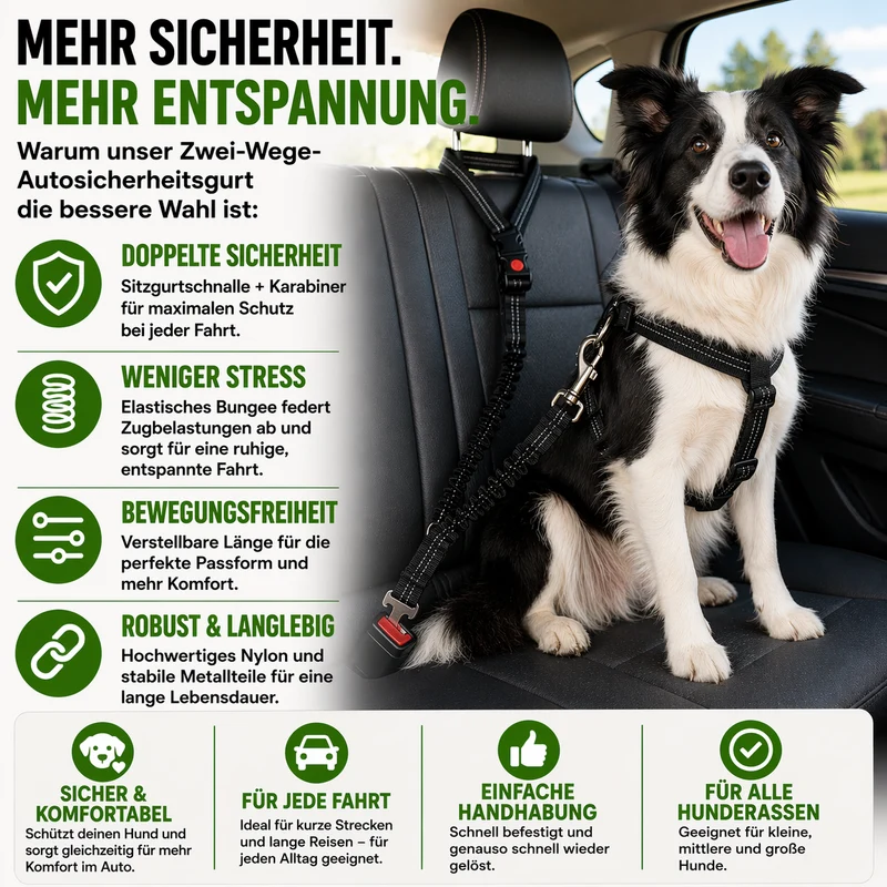 Zwei-Wege-Autosicherheitsgurt