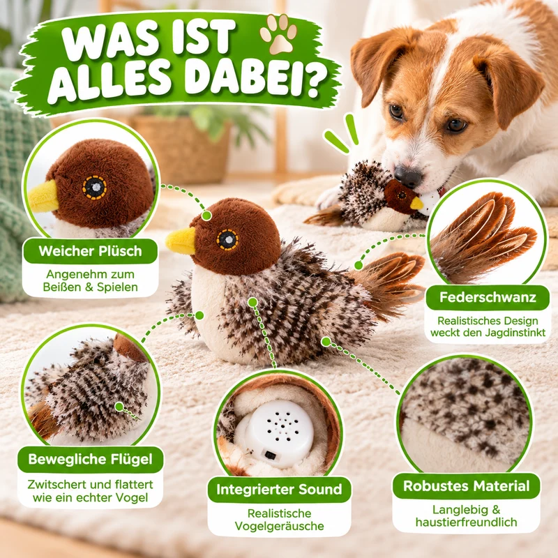 Zwitscherndes Vogelspielzeug – für neugierige Hunde