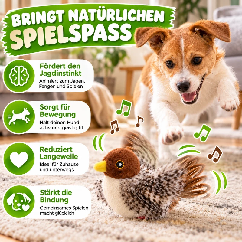 Zwitscherndes Vogelspielzeug – für neugierige Hunde