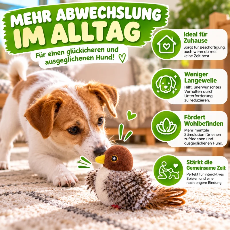 Zwitscherndes Vogelspielzeug – für neugierige Hunde