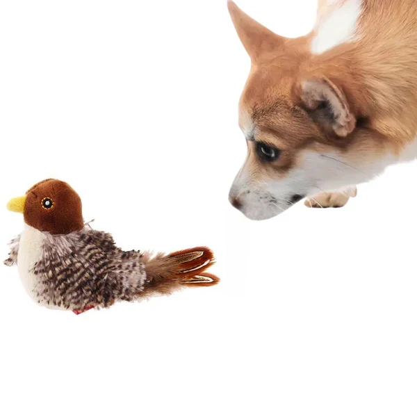 Zwitscherndes Vogelspielzeug – für neugierige Hunde