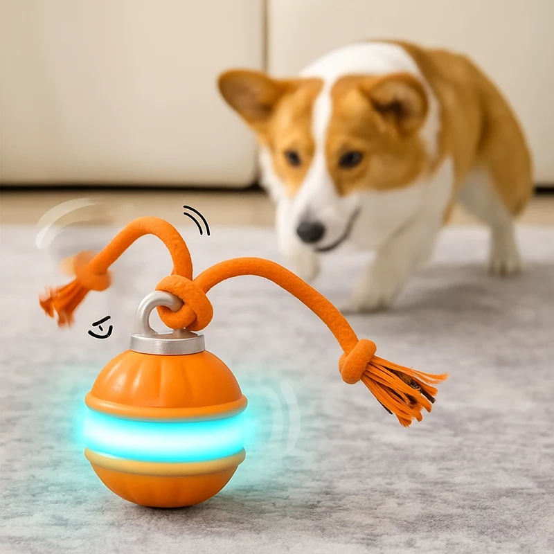 Rollvergnügen Ball für Hunde & Katzen