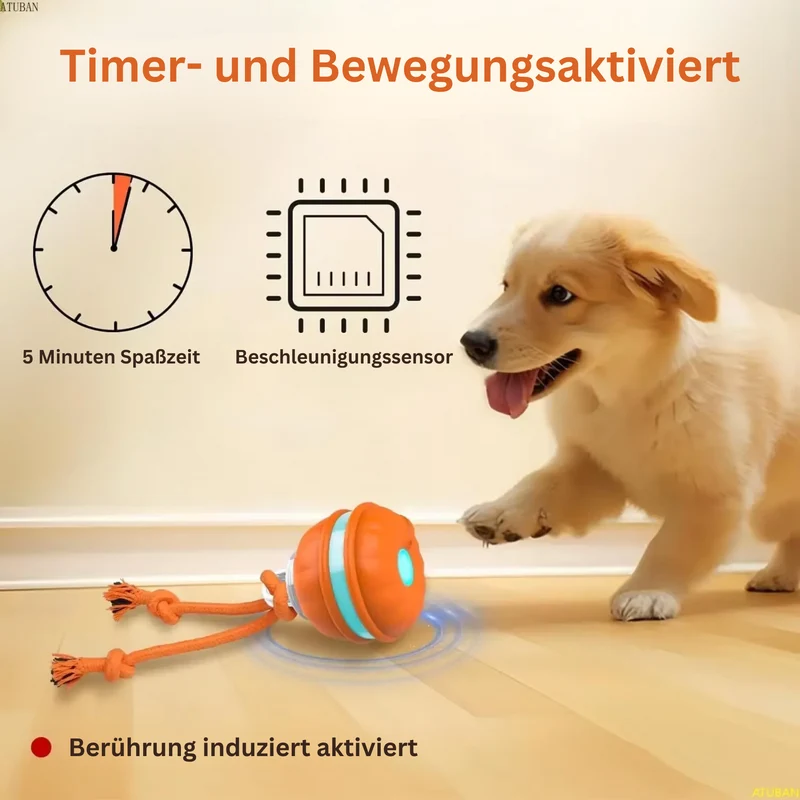 Rollvergnügen Ball für Hunde & Katzen