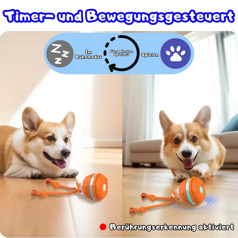 Rollvergnügen Ball für Hunde & Katzen