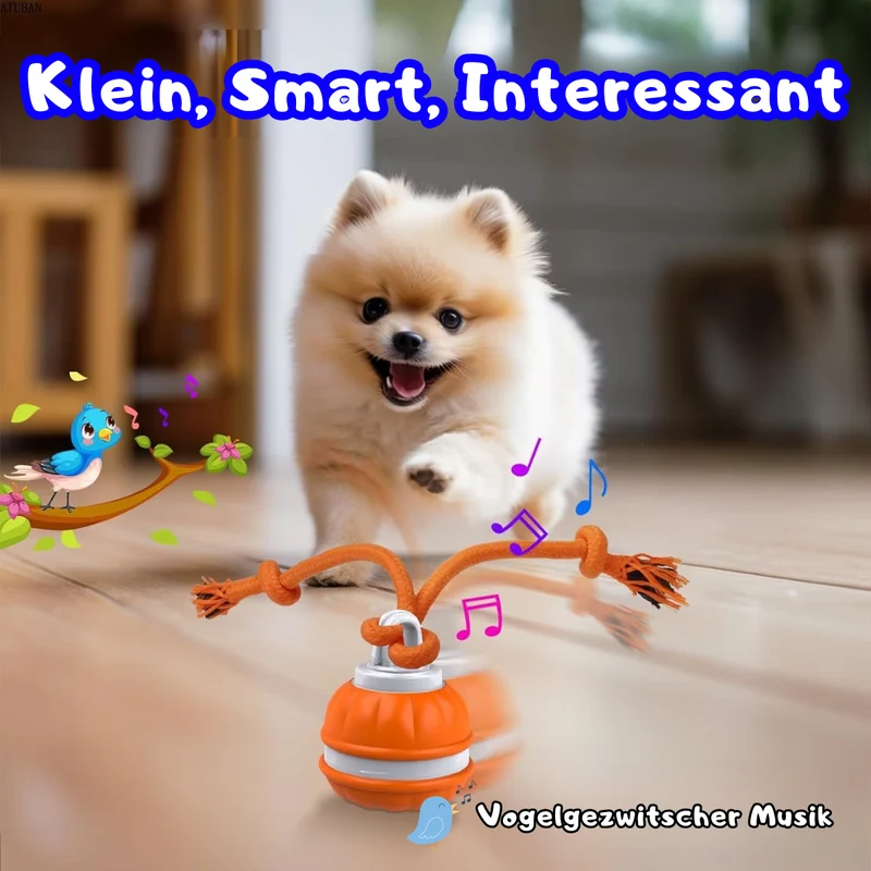 Rollvergnügen Ball für Hunde & Katzen
