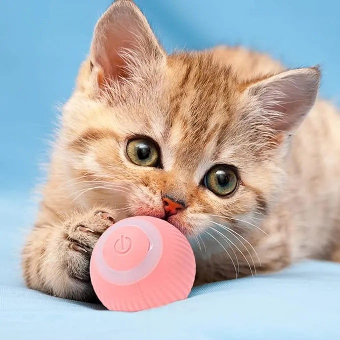 Intelligenter Rollerball für Hunde & Katzen