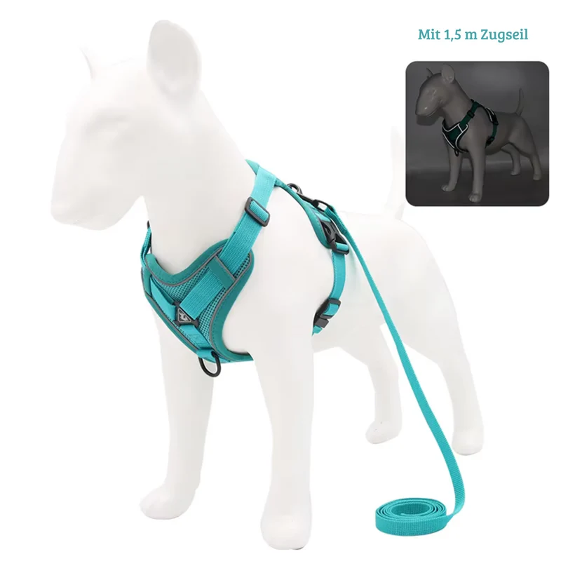 Zugfrei Hundegeschirr & Leinen-Set