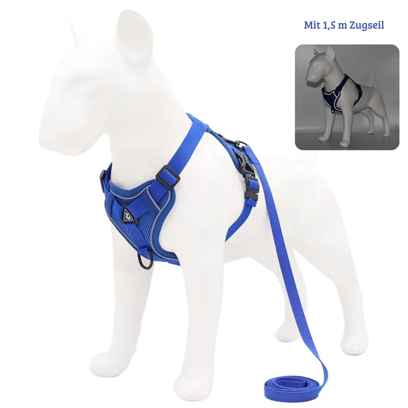 Zugfrei Hundegeschirr & Leinen-Set