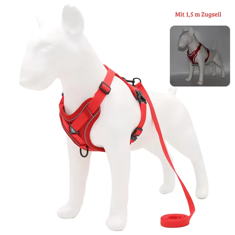 Zugfrei Hundegeschirr & Leinen-Set