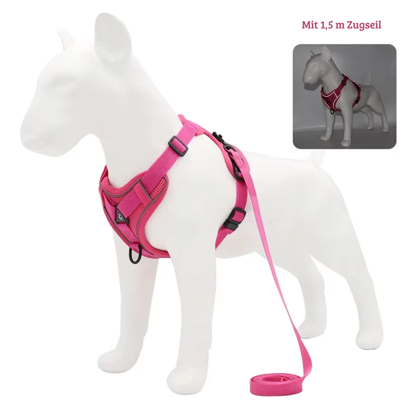 Zugfrei Hundegeschirr & Leinen-Set
