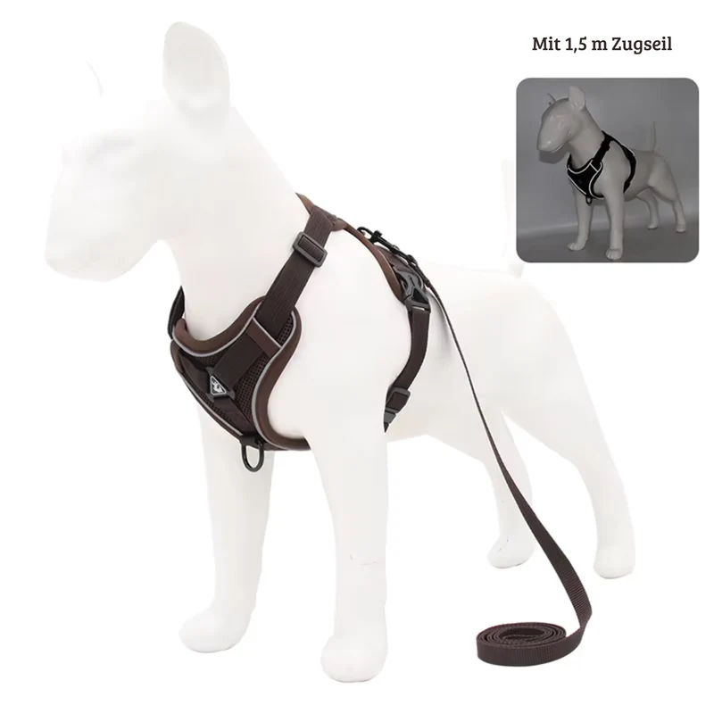 Zugfrei Hundegeschirr & Leinen-Set