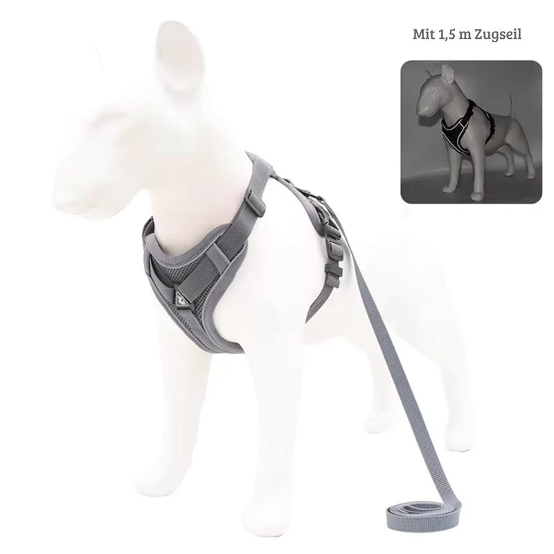 Zugfrei Hundegeschirr & Leinen-Set