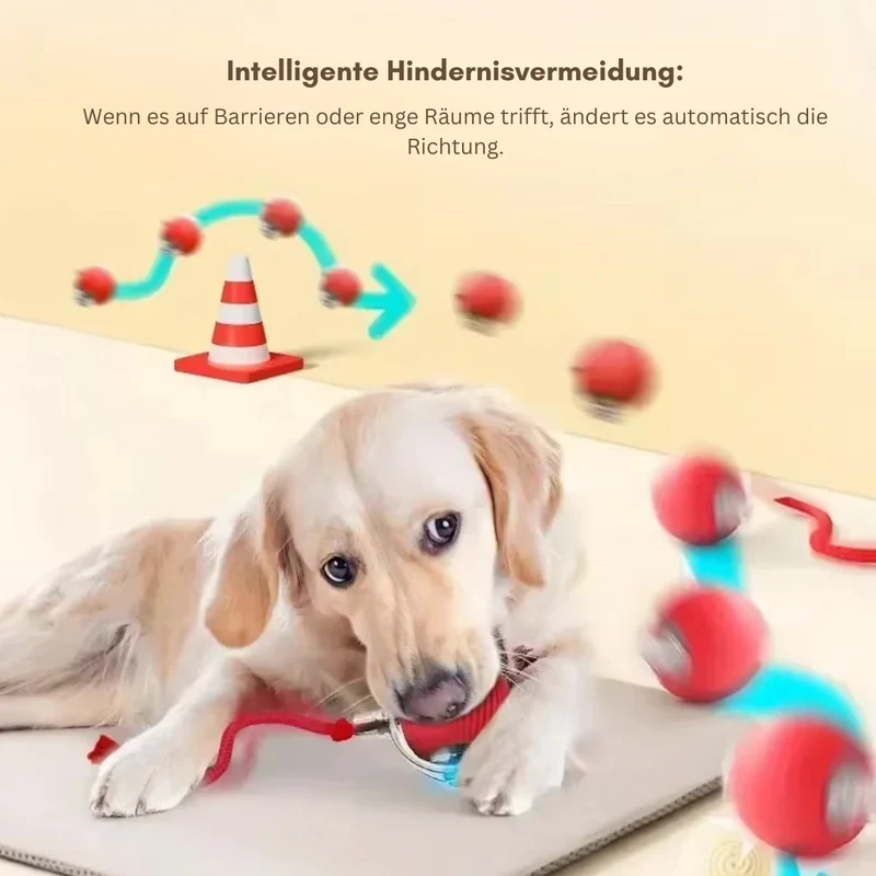 Interaktiver Hundeball – Spielspaß mit Action!