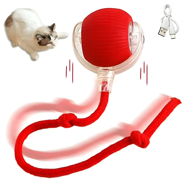 Interaktive, automatisch rollende Katzenmaus