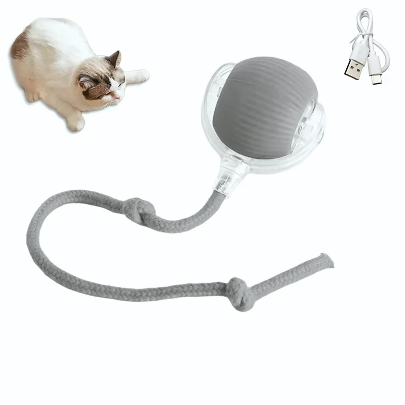 Interaktive, automatisch rollende Katzenmaus