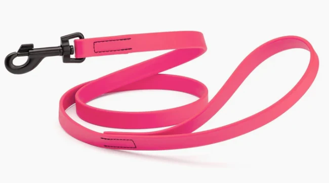 Biothane Waterproof Leash