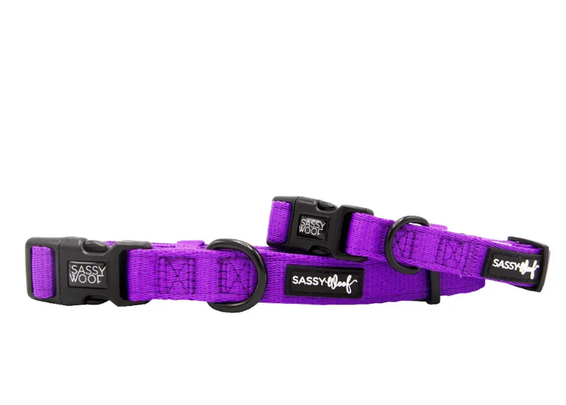 Neon Purple Collar