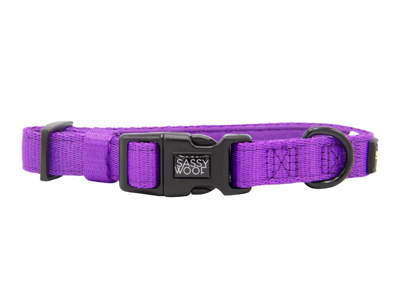 Neon Purple Collar