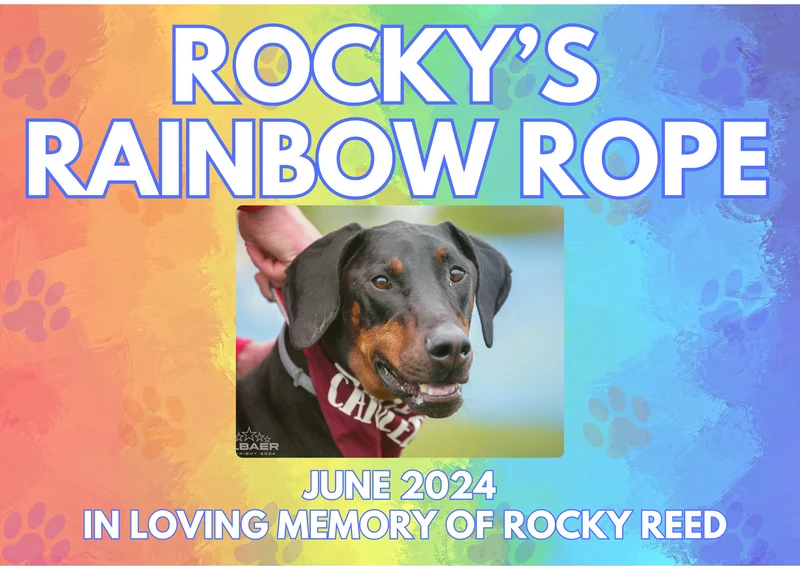 Rainbow Rope Memorial Collar