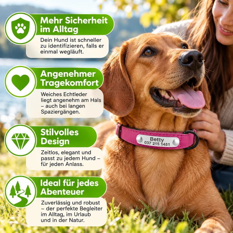 Personalisiertes Hundehalsband aus Leder mit Namensgravur