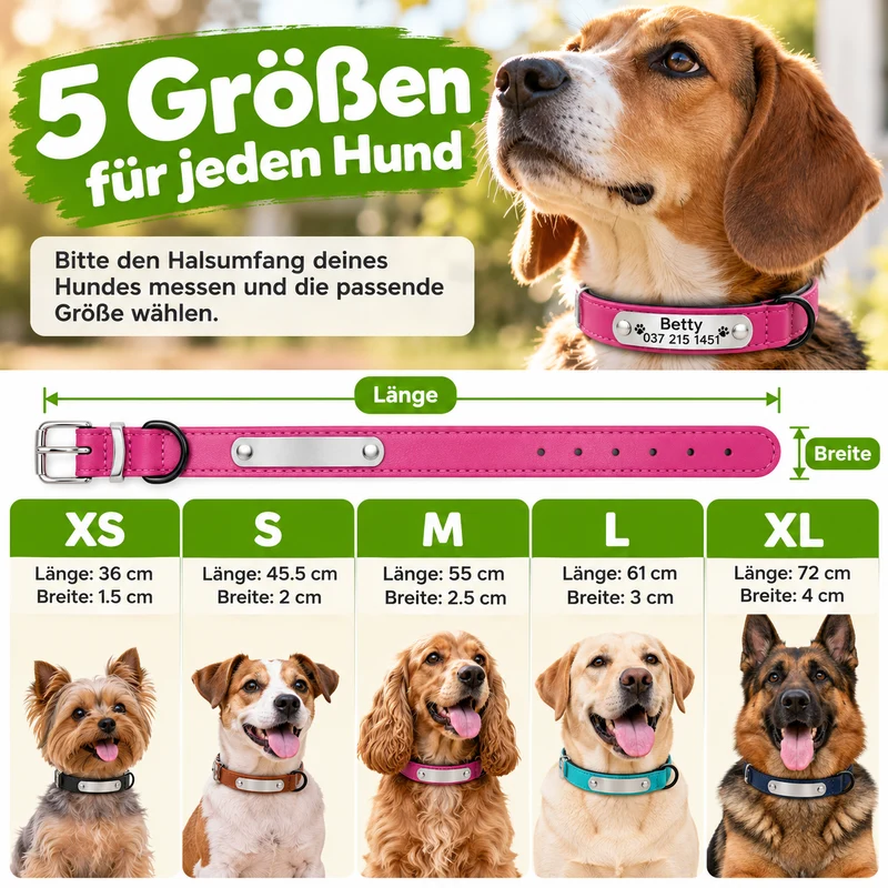 Personalisiertes Hundehalsband aus Leder mit Namensgravur