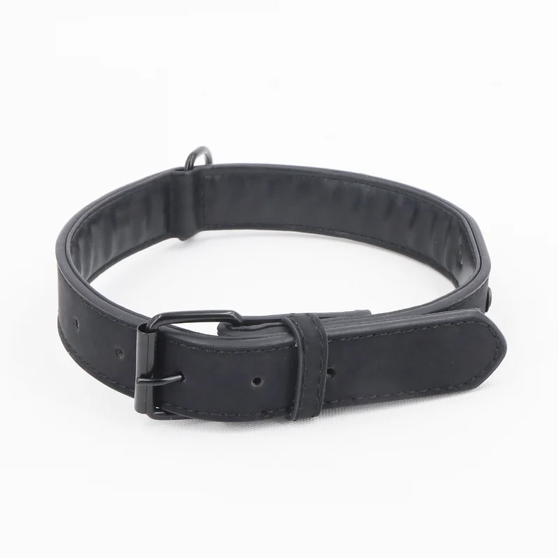 Personalisiertes Hundehalsband aus Leder mit Namensgravur