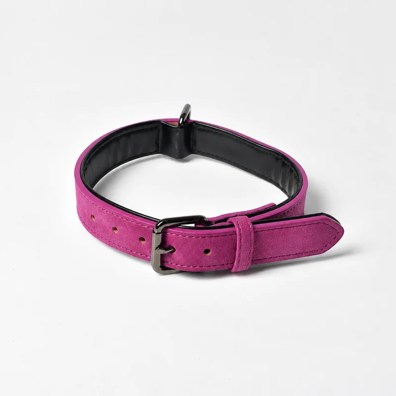 Personalisiertes Hundehalsband aus Leder mit Namensgravur