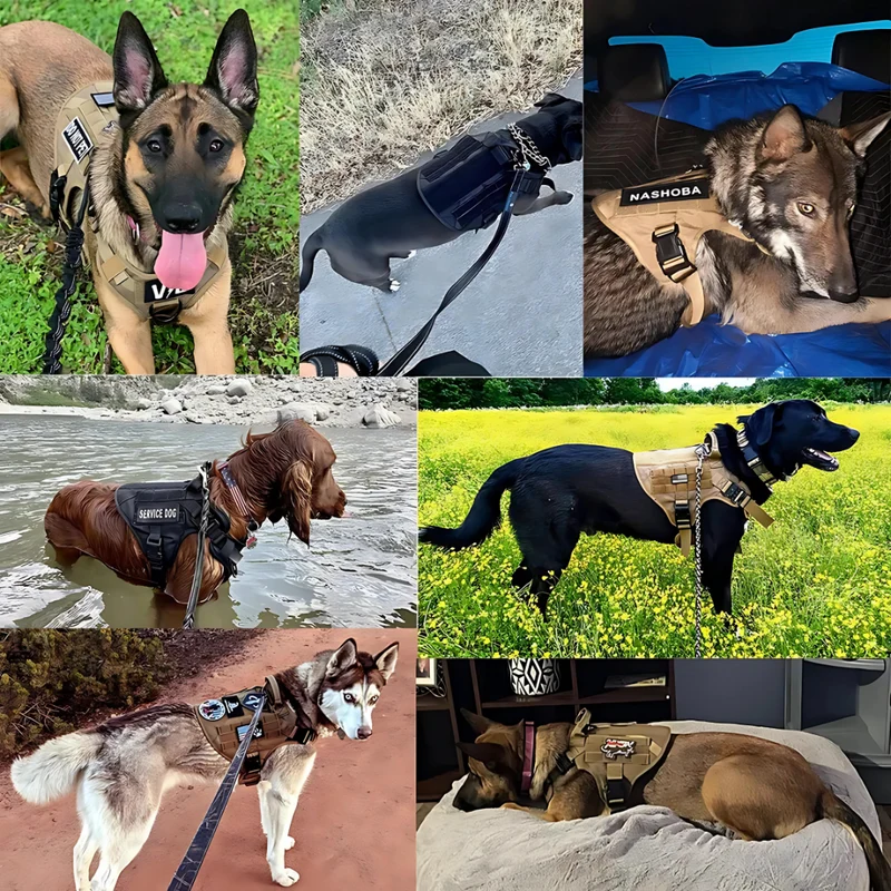 Robustes Militär Hundegeschirr für Training und Spaziergänge
