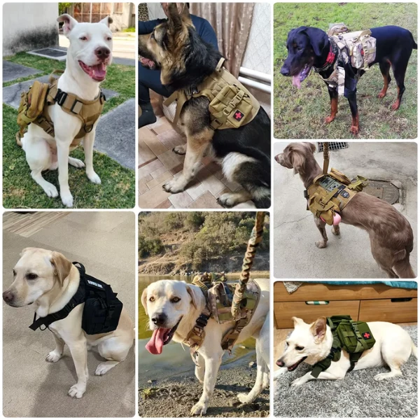 Robustes Militär Hundegeschirr für Training und Spaziergänge